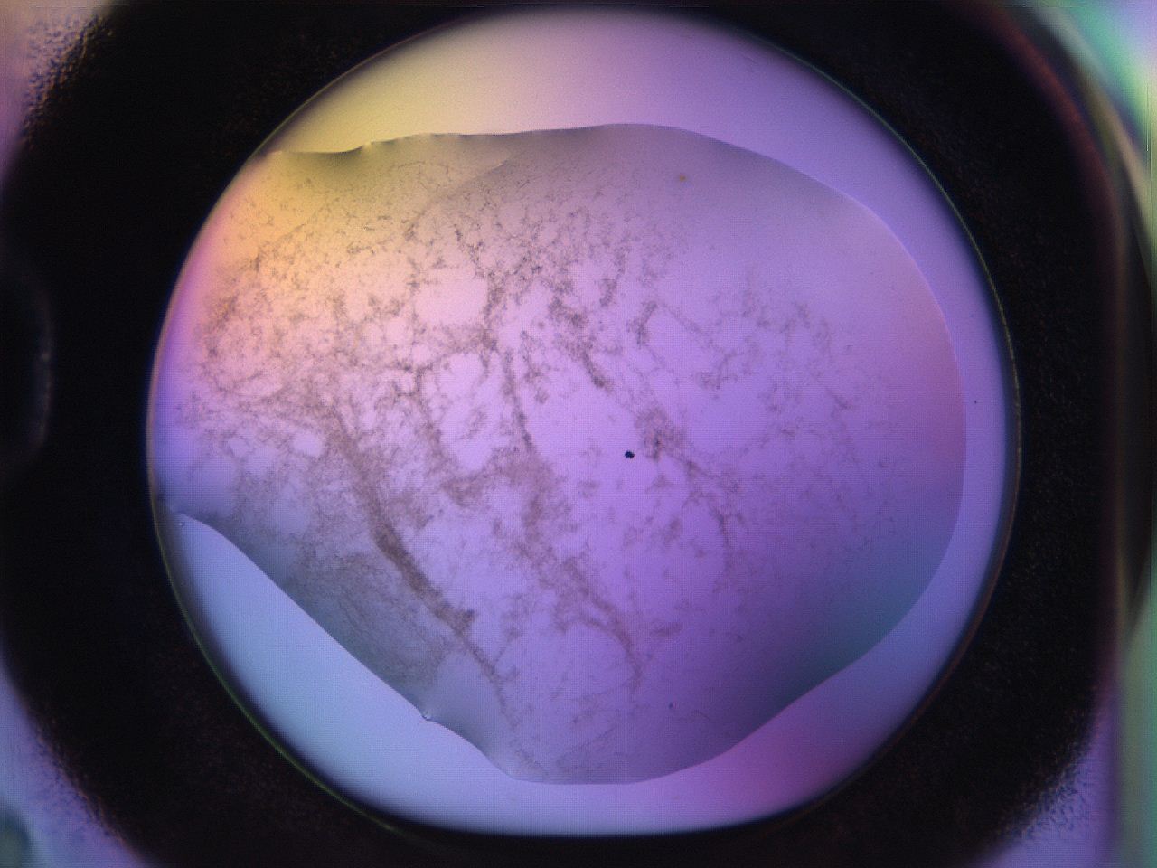 04w1_D2_ImagerDefaults_3.jpg