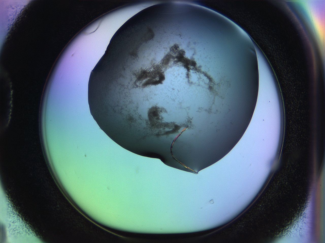 04w1_D4_ImagerDefaults_3.jpg