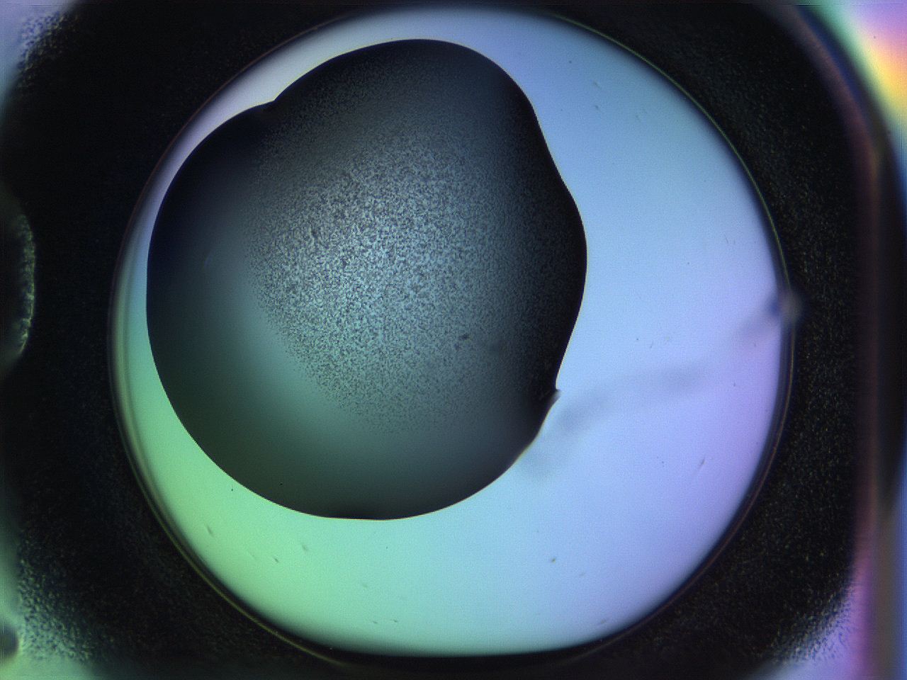 04w1_D5_ImagerDefaults_3.jpg