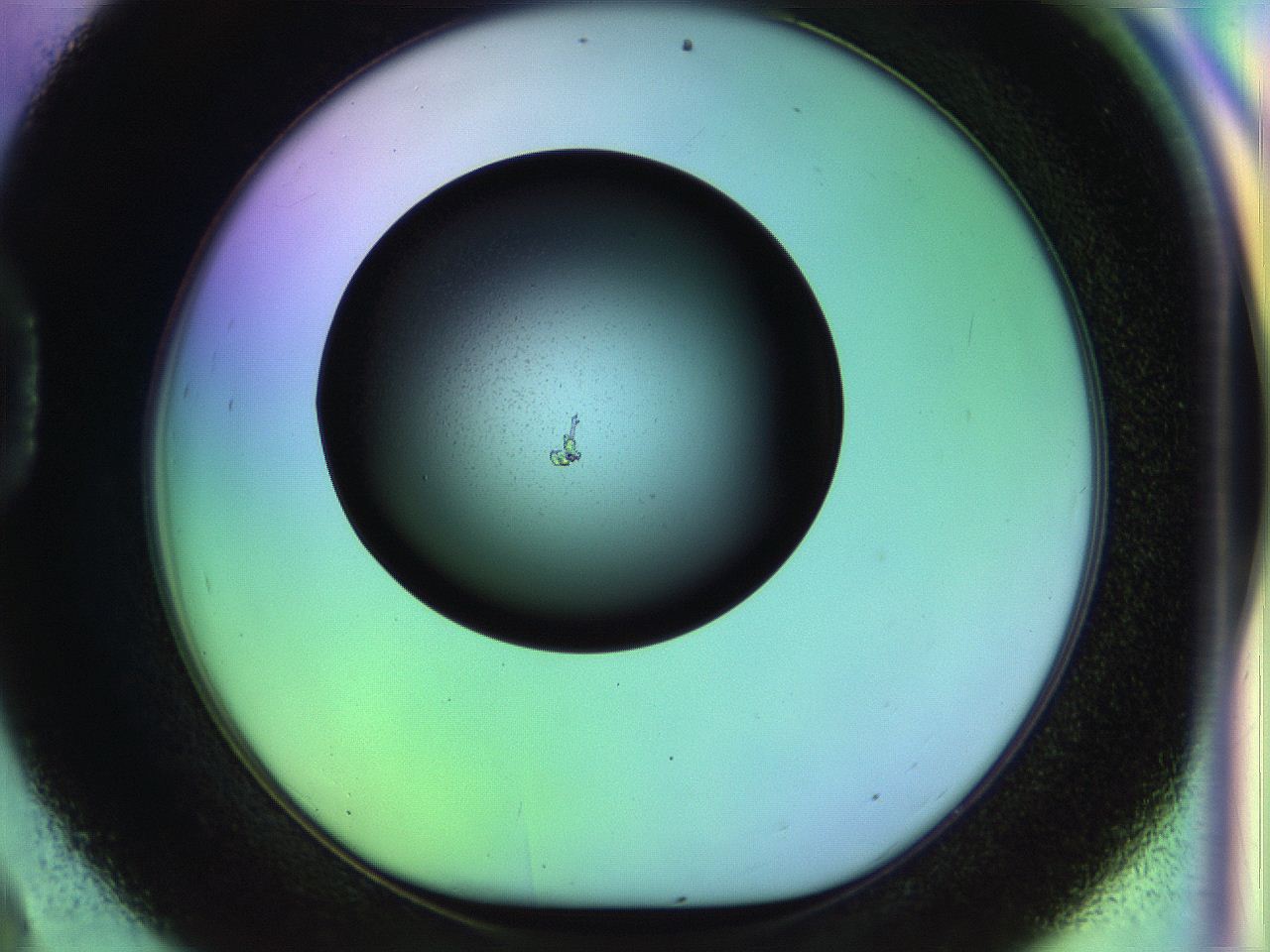 04w1_D9_ImagerDefaults_0.jpg