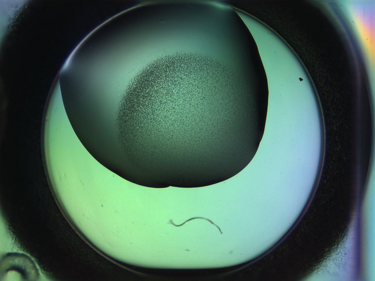 04w1_D10_ImagerDefaults_3.jpg