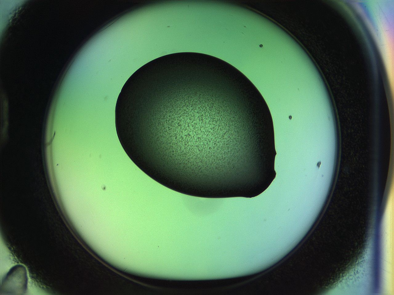 04w1_D11_ImagerDefaults_3.jpg
