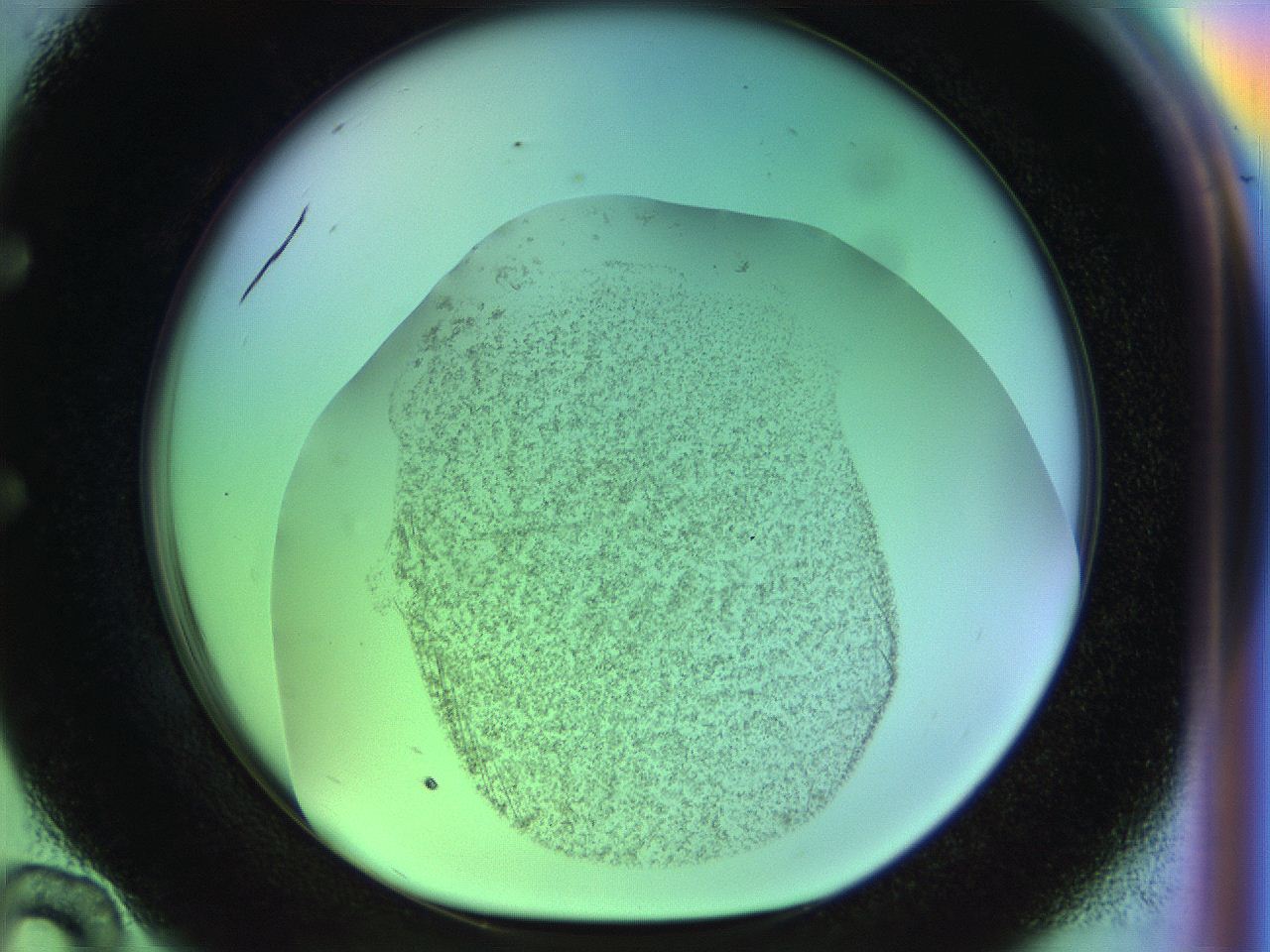 04w1_E10_ImagerDefaults_3.jpg