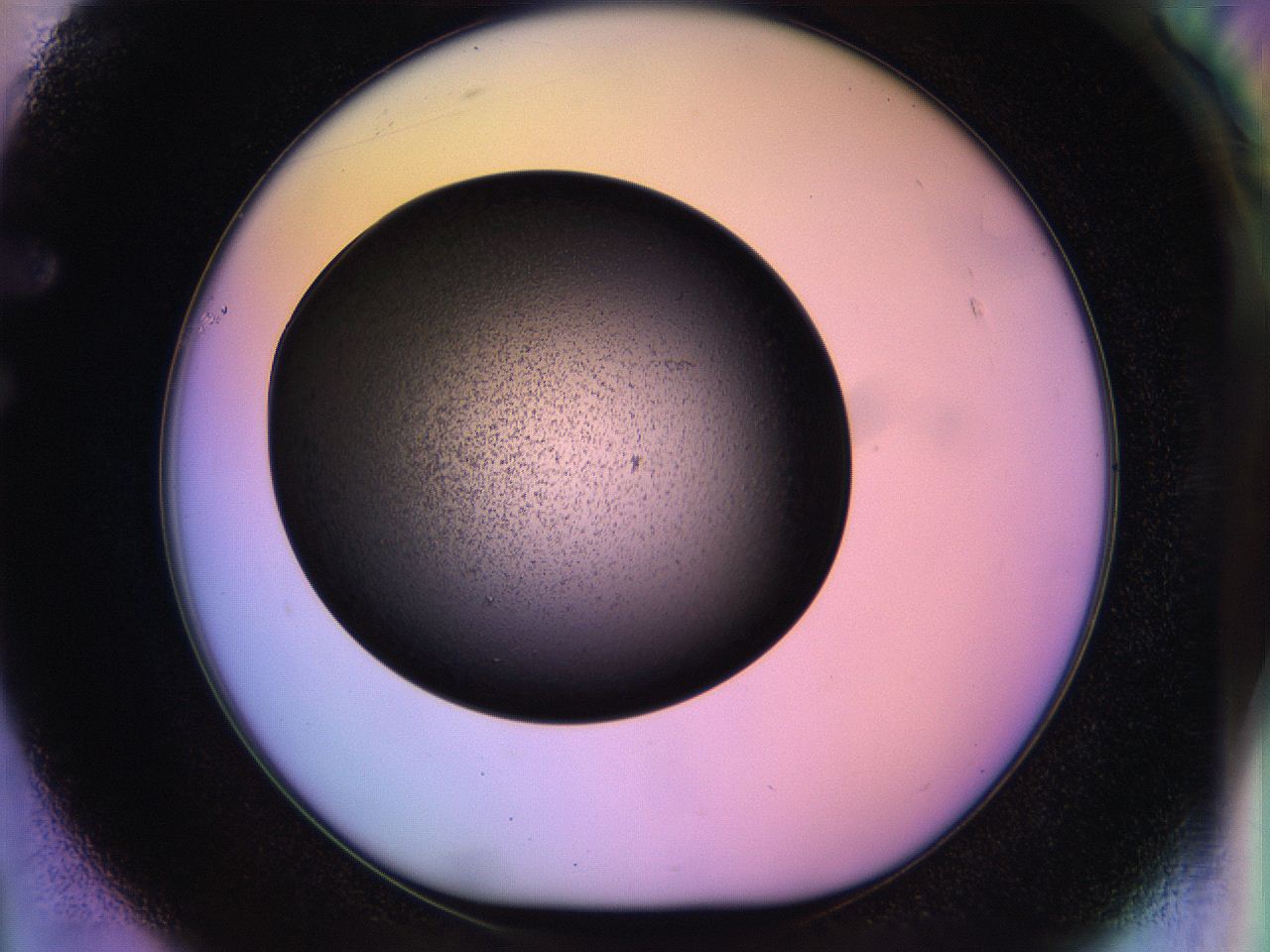 04w1_F1_ImagerDefaults_3.jpg