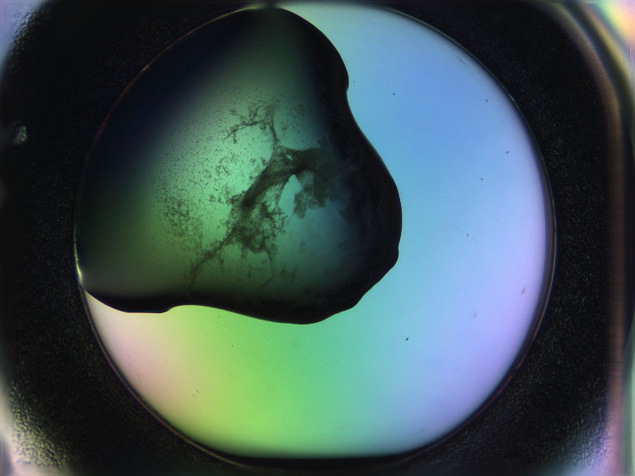 04w1_F4_ImagerDefaults_3.jpg