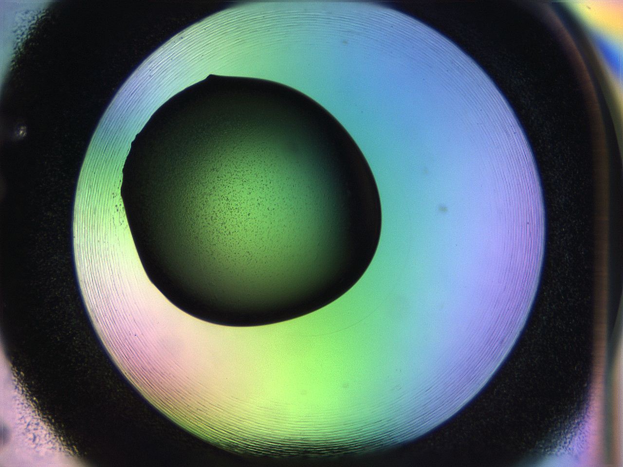 04w1_F5_ImagerDefaults_3.jpg