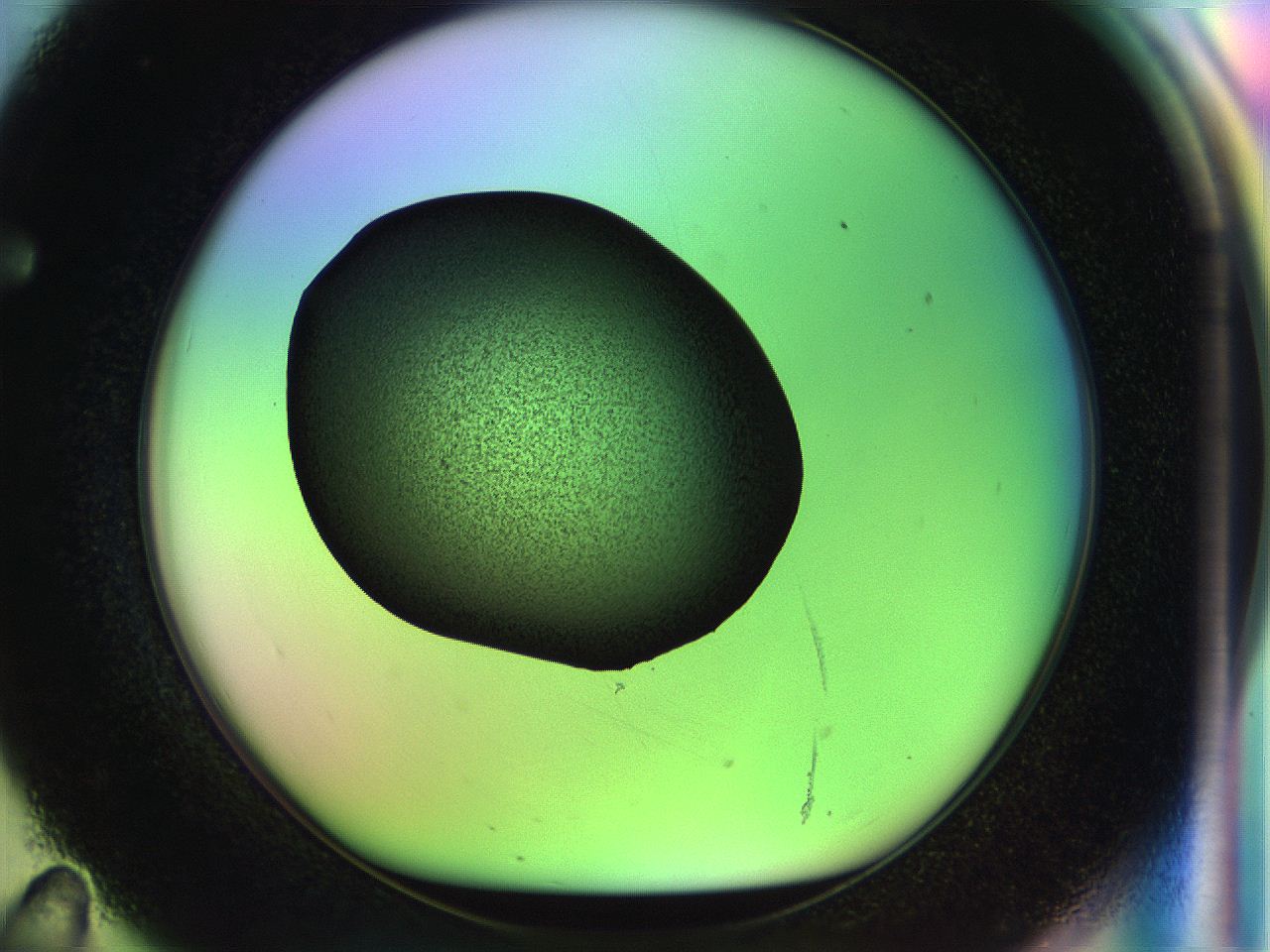 04w1_F11_ImagerDefaults_3.jpg