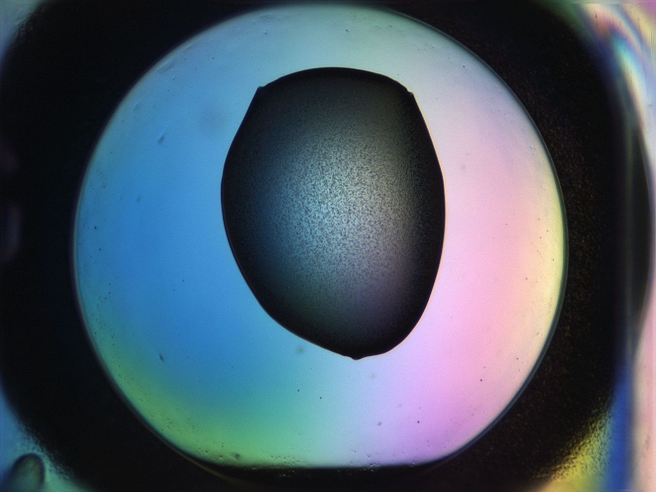 04w1_G11_ImagerDefaults_3.jpg
