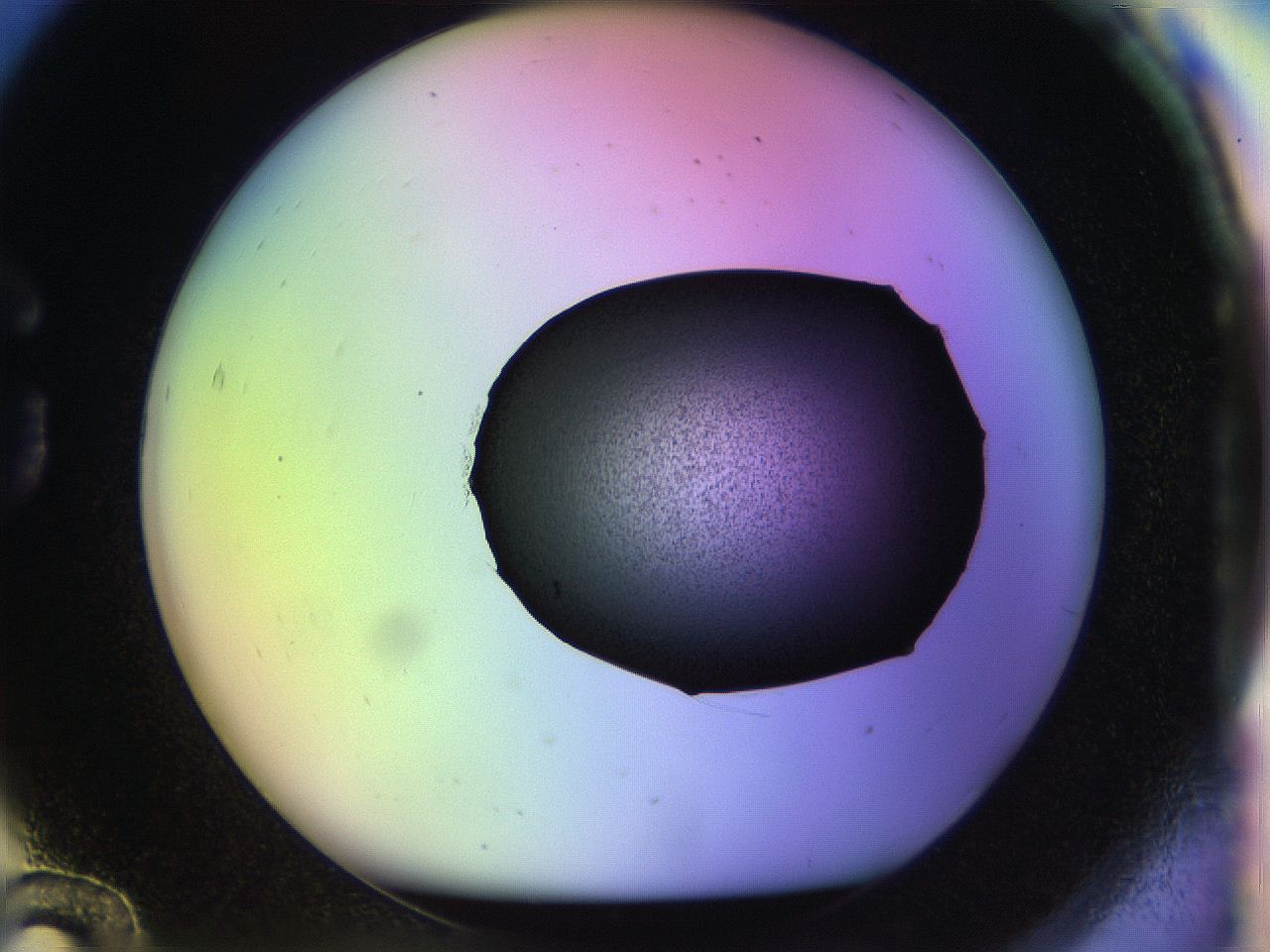 04w1_G12_ImagerDefaults_3.jpg