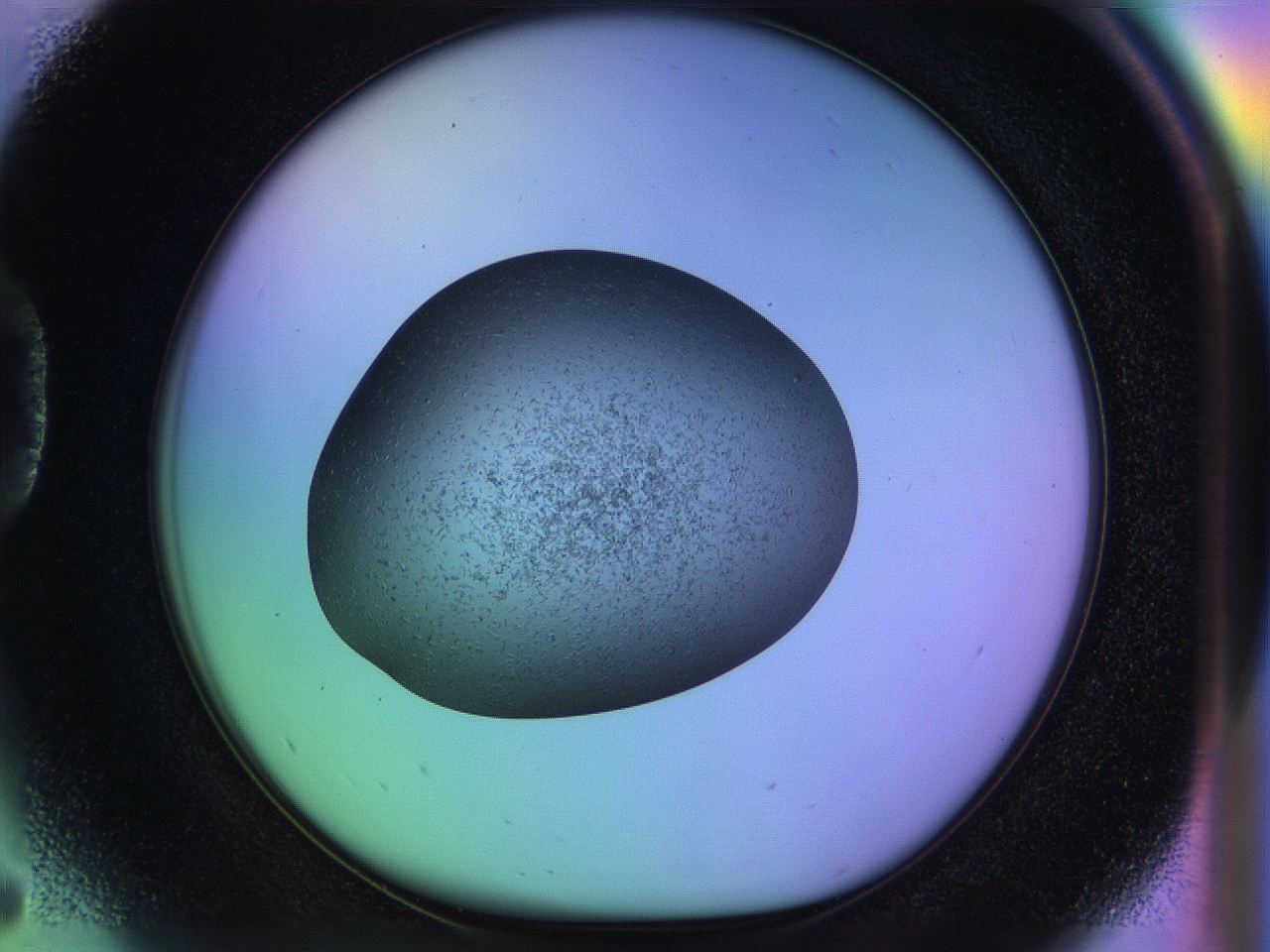 04w2_D5_ImagerDefaults_9.jpg