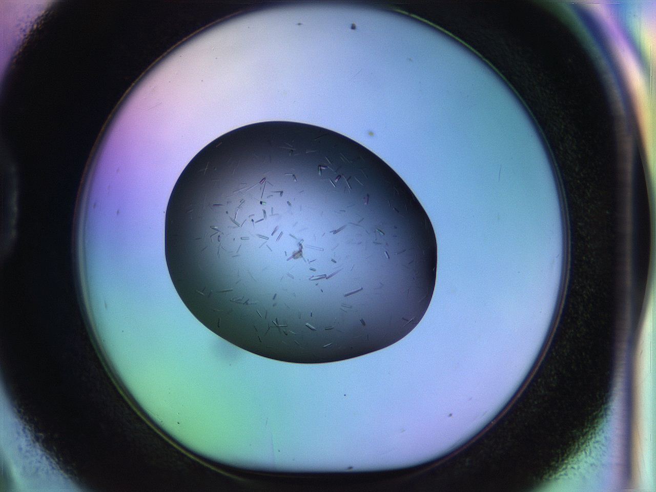 04w2_D9_ImagerDefaults_9.jpg