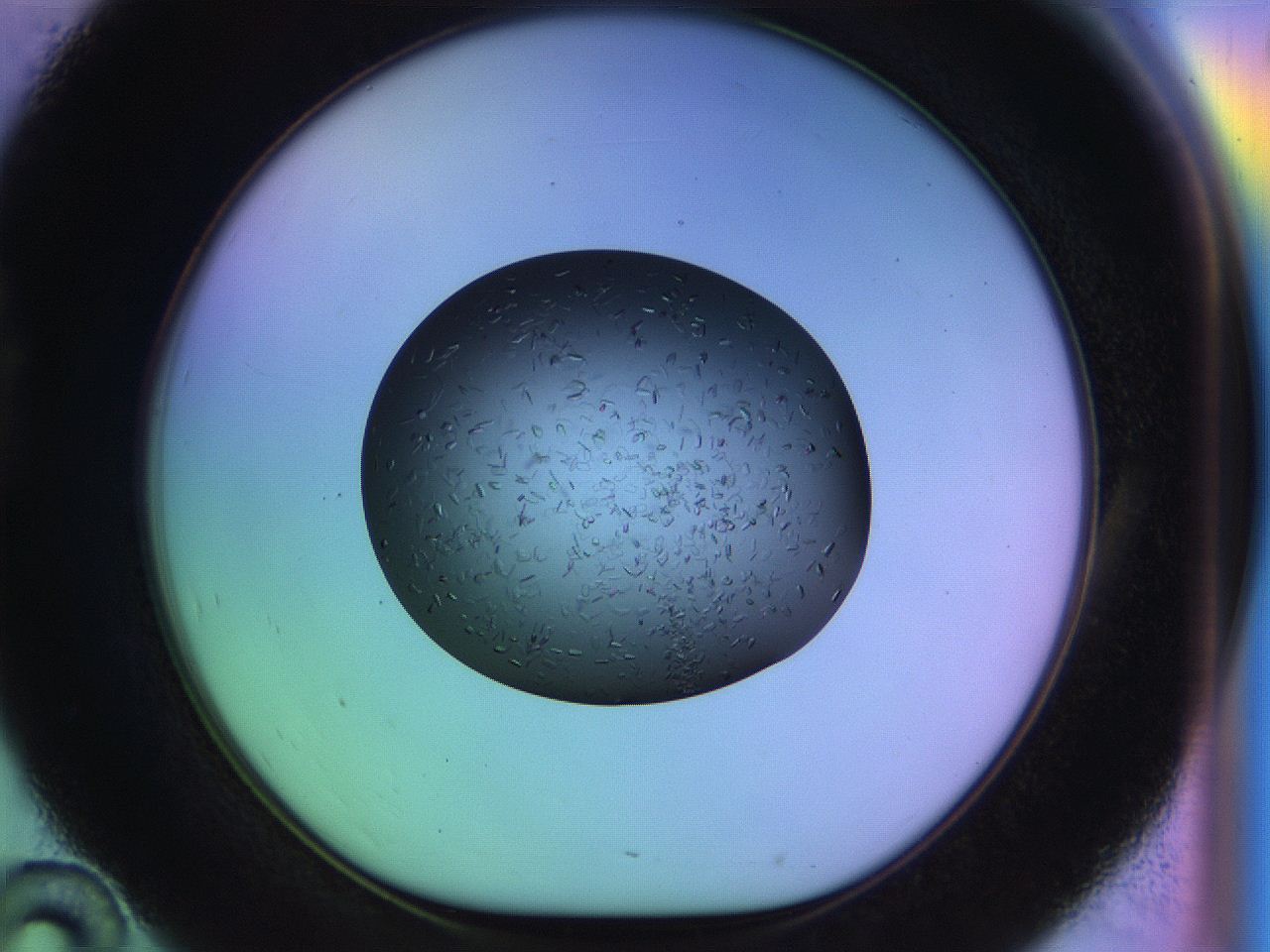 04w2_D10_ImagerDefaults_9.jpg