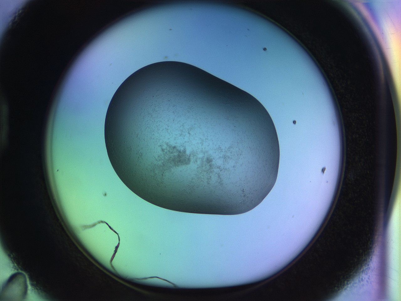 04w2_D11_ImagerDefaults_3.jpg