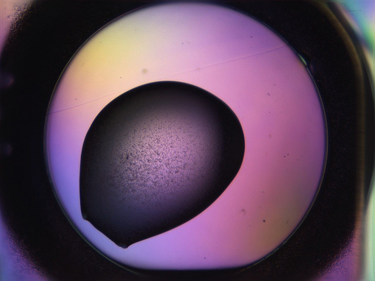 04w2_E1_ImagerDefaults_3.jpg