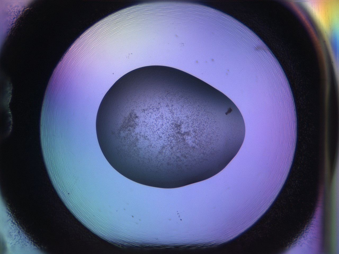 04w2_B8_ImagerDefaults_3.jpg
