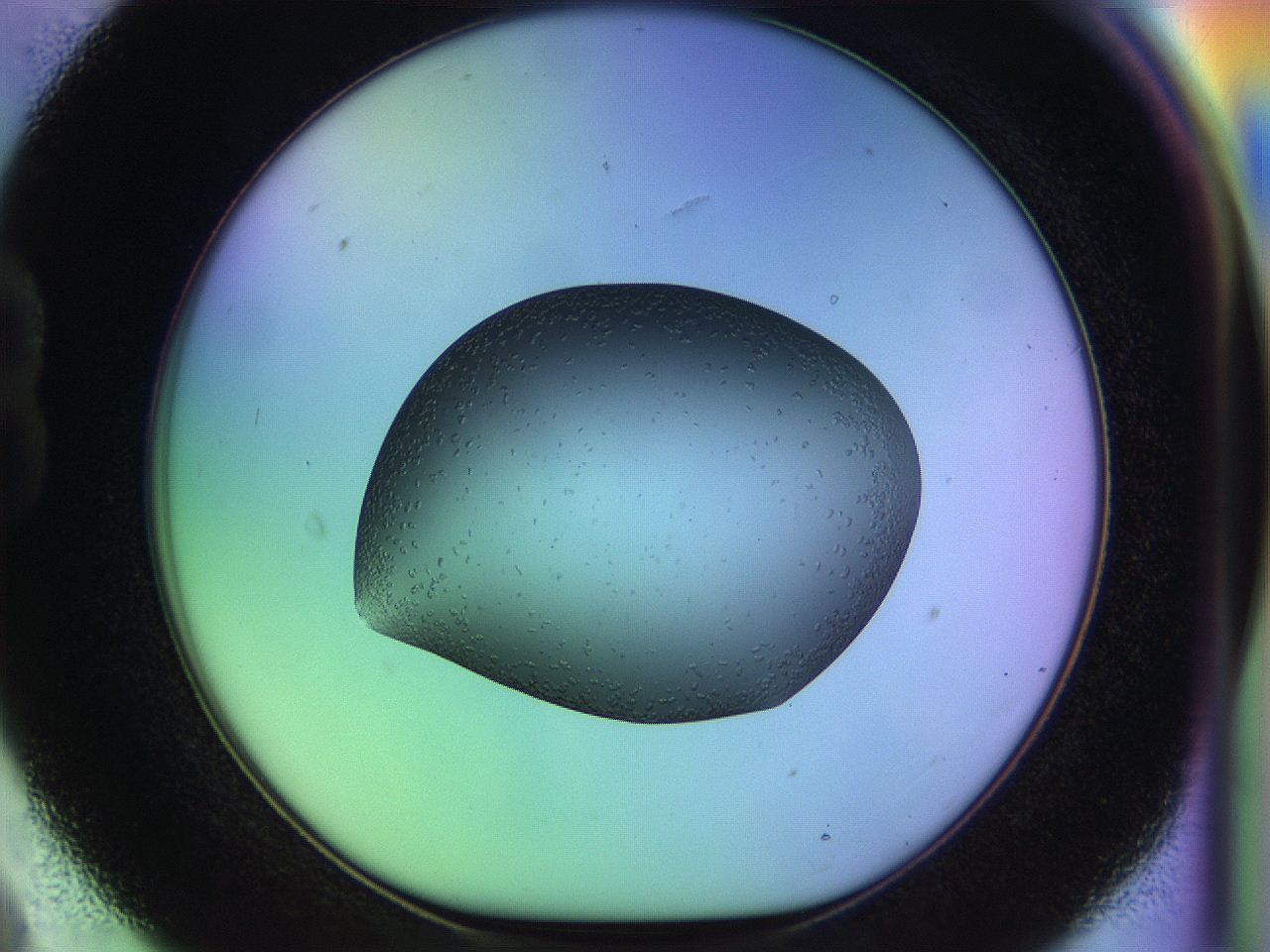 04w2_B9_ImagerDefaults_9.jpg