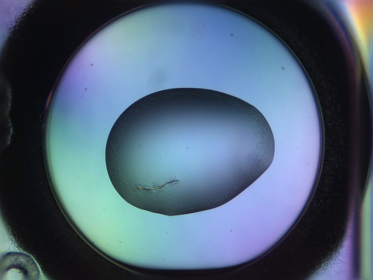 04w2_B10_ImagerDefaults_9.jpg