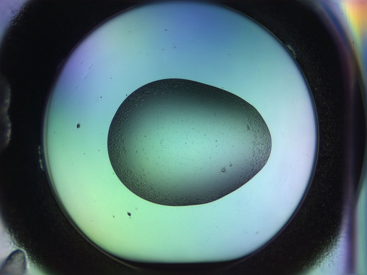 04w2_B11_ImagerDefaults_9.jpg