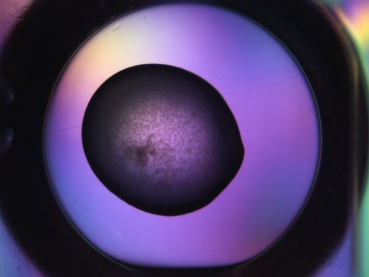 04w2_C1_ImagerDefaults_3.jpg