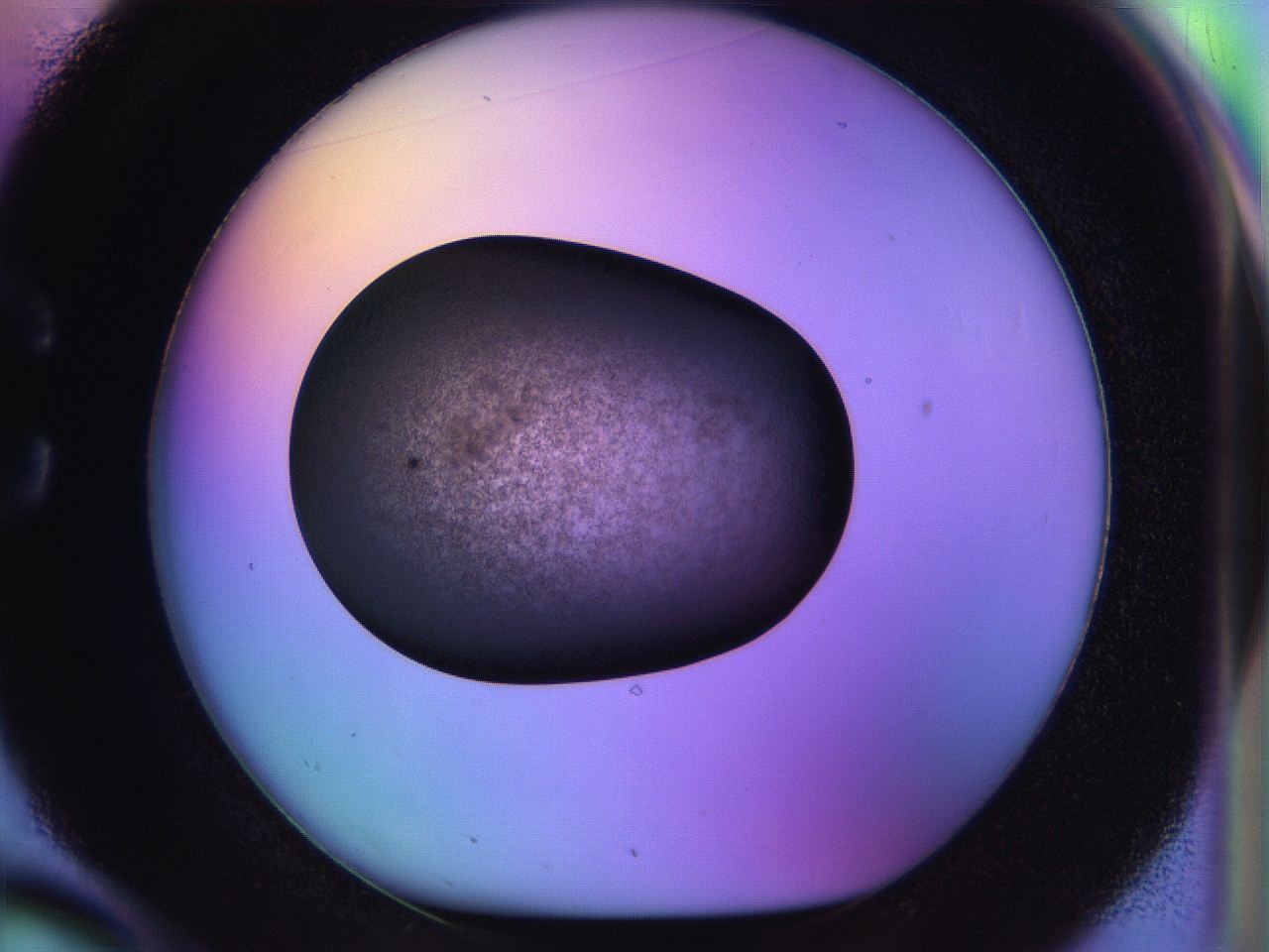 04w2_C2_ImagerDefaults_3.jpg