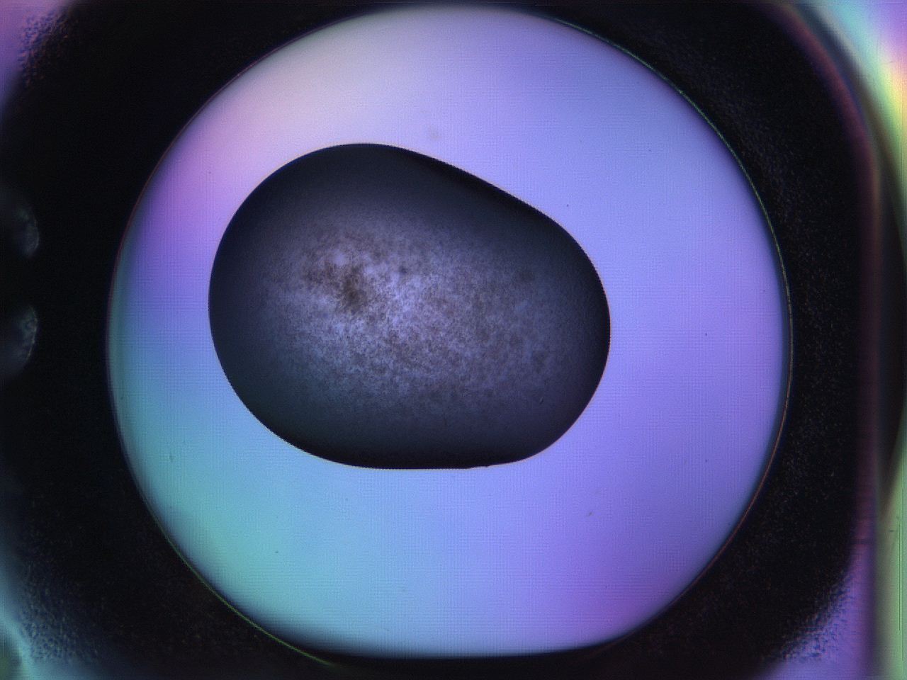 04w2_C3_ImagerDefaults_3.jpg