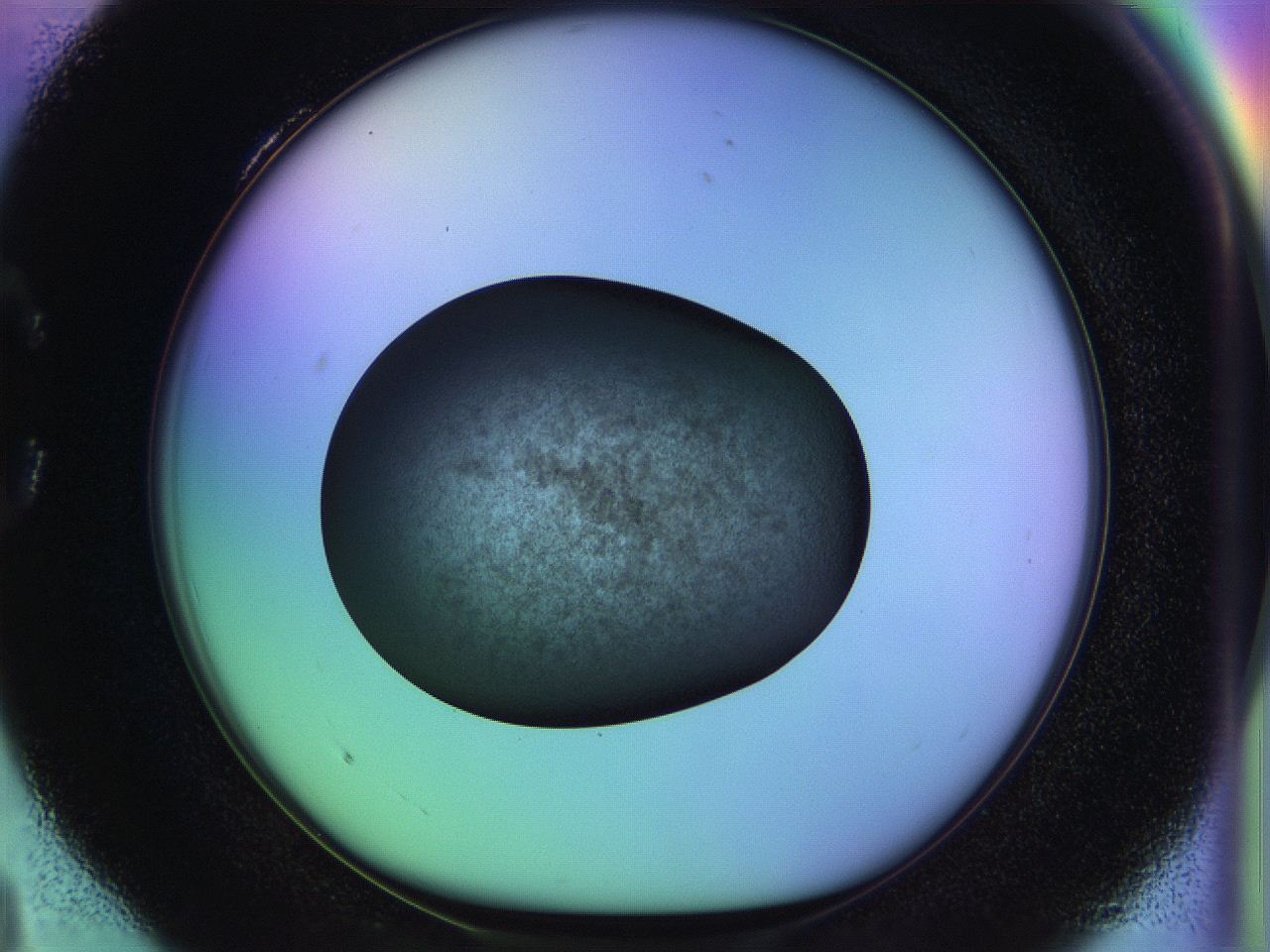 04w2_C4_ImagerDefaults_3.jpg