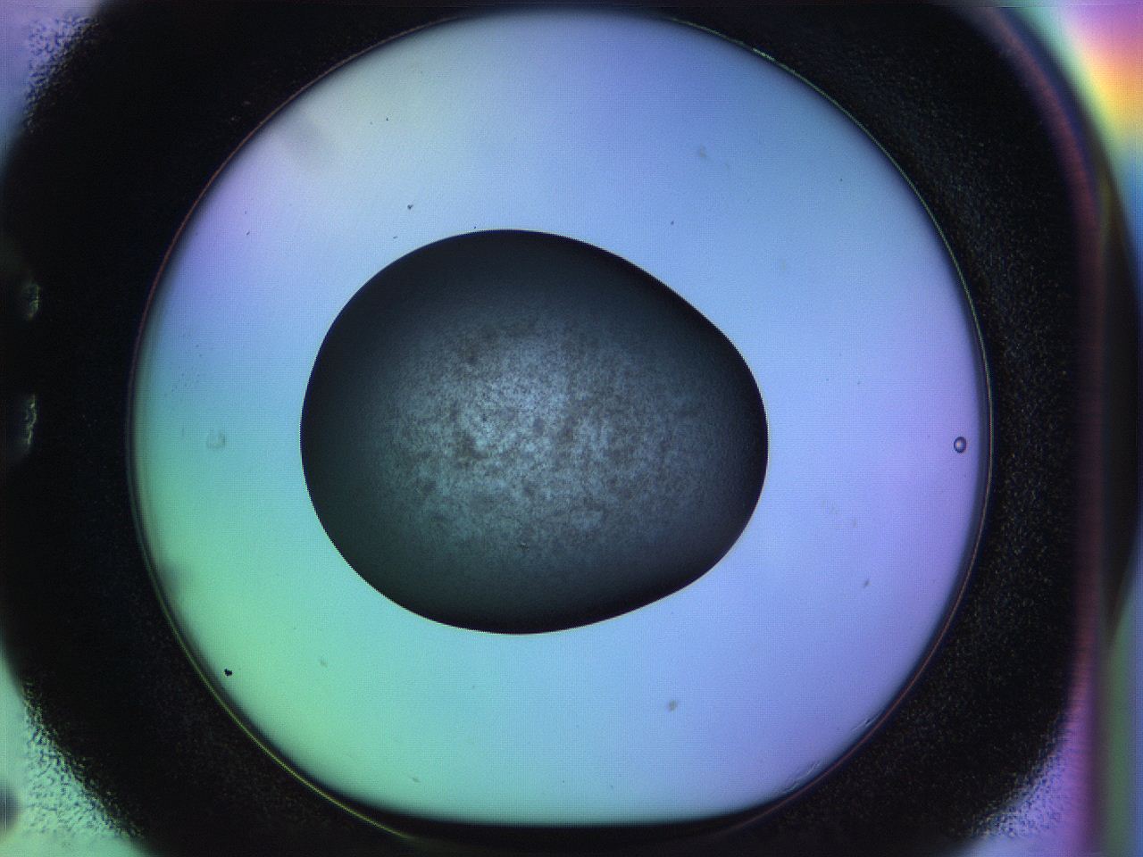 04w2_C5_ImagerDefaults_3.jpg