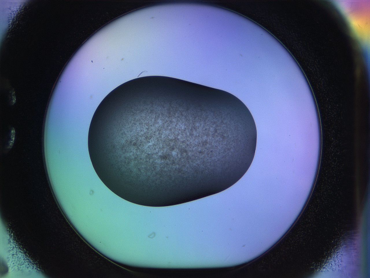 04w2_C6_ImagerDefaults_3.jpg