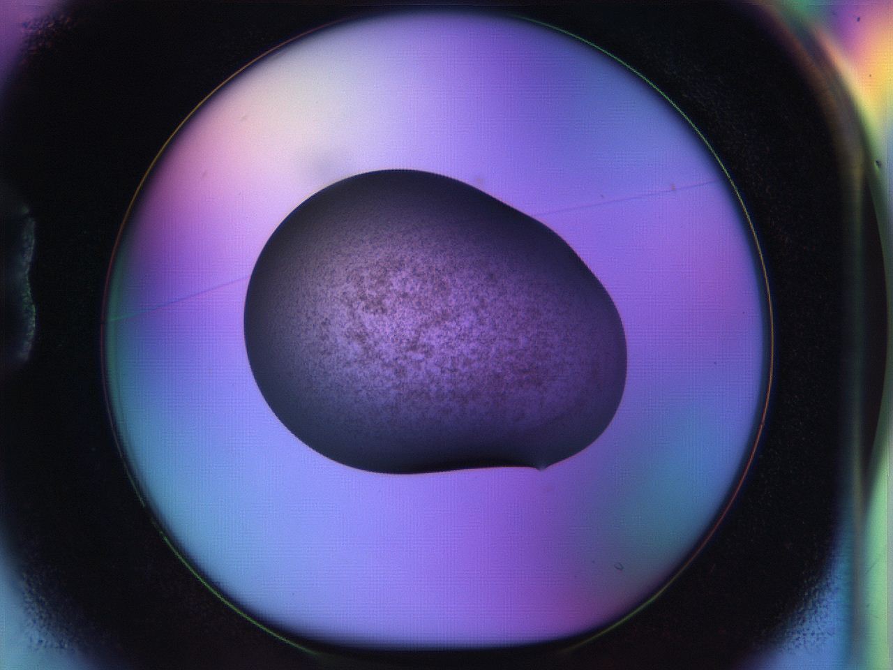 04w2_B1_ImagerDefaults_3.jpg