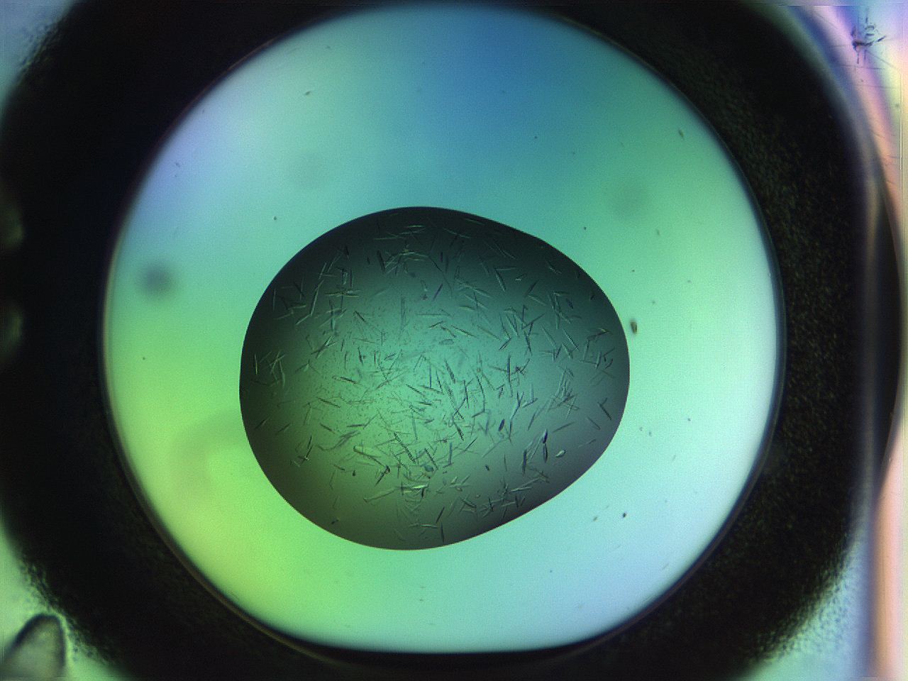 04w2_C11_ImagerDefaults_9.jpg
