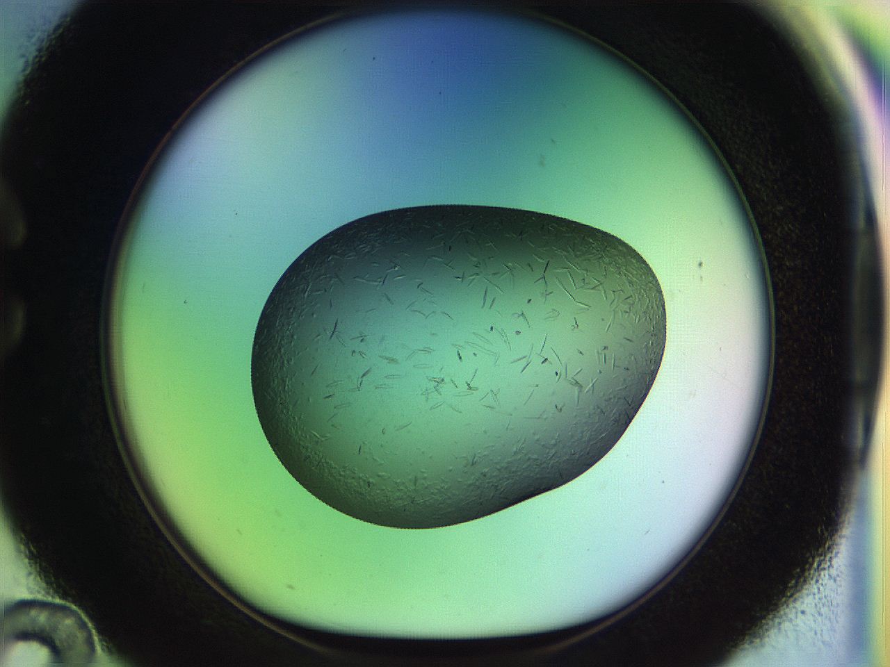 04w2_C12_ImagerDefaults_9.jpg