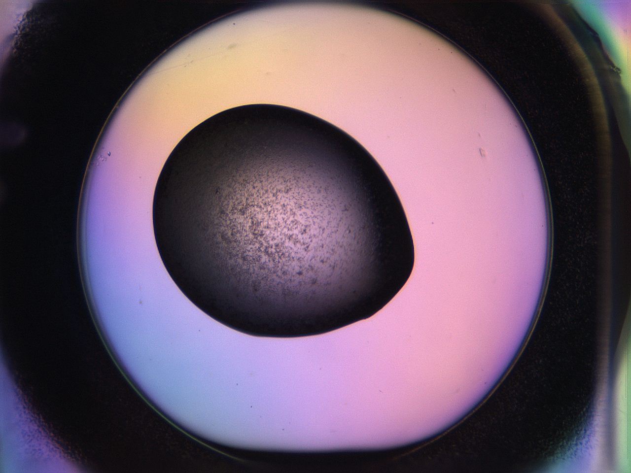 04w2_F1_ImagerDefaults_3.jpg