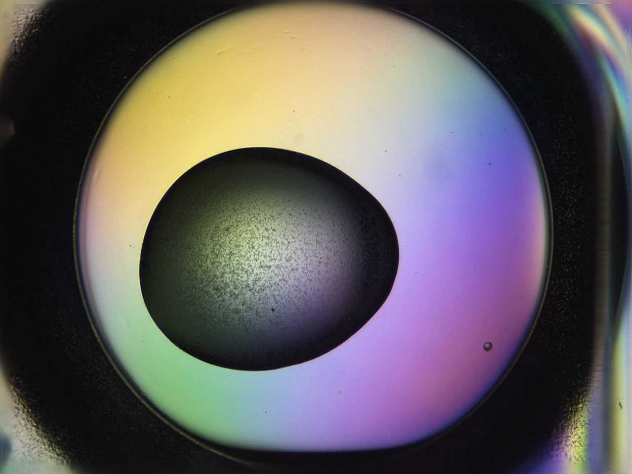 04w2_F7_ImagerDefaults_3.jpg
