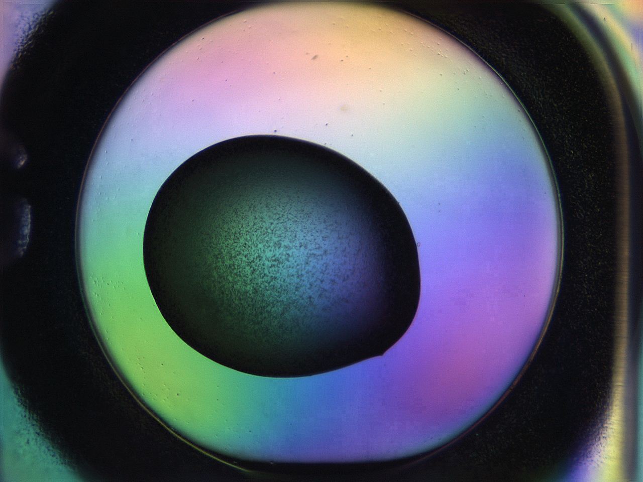 04w2_G1_ImagerDefaults_3.jpg