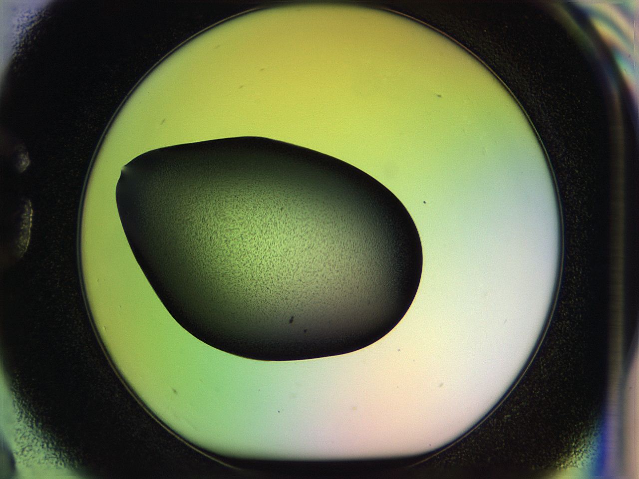04w2_G3_ImagerDefaults_3.jpg