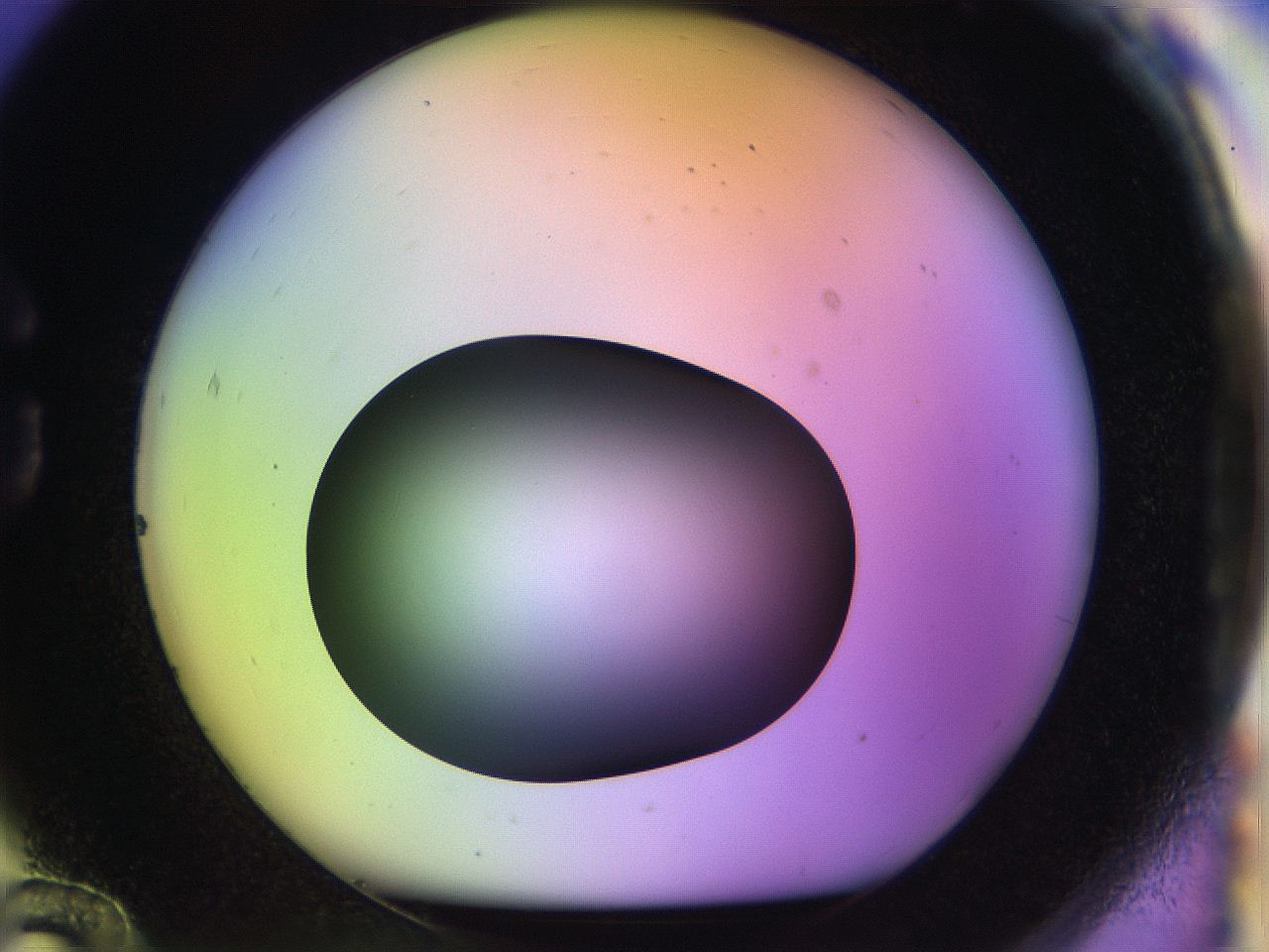 04w2_G12_ImagerDefaults_0.jpg