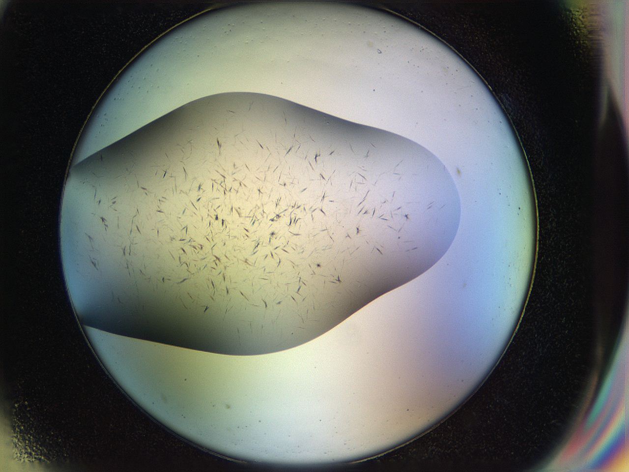 04wd_G9_ImagerDefaults_6.jpg