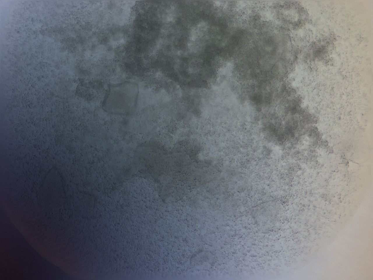 04wz_F5_ImagerDefaults_9.jpg