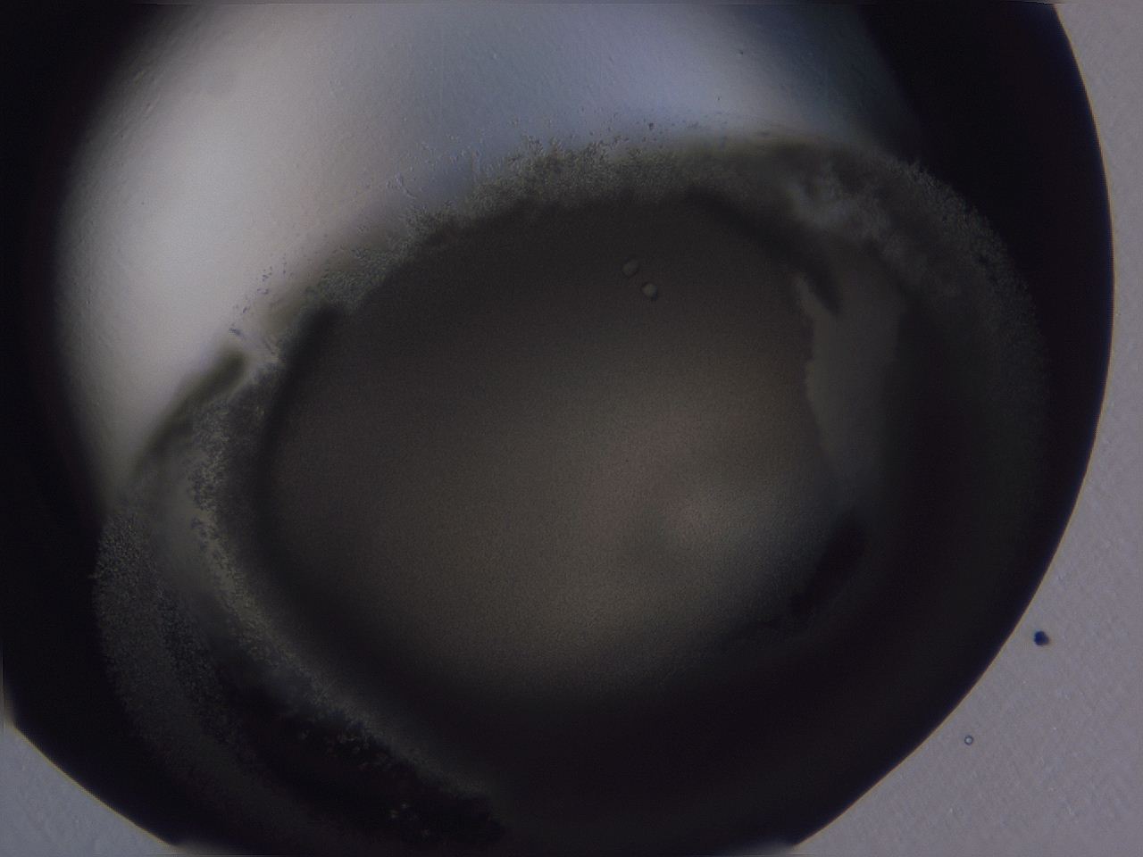 04xq_A3_ImagerDefaults_9.jpg