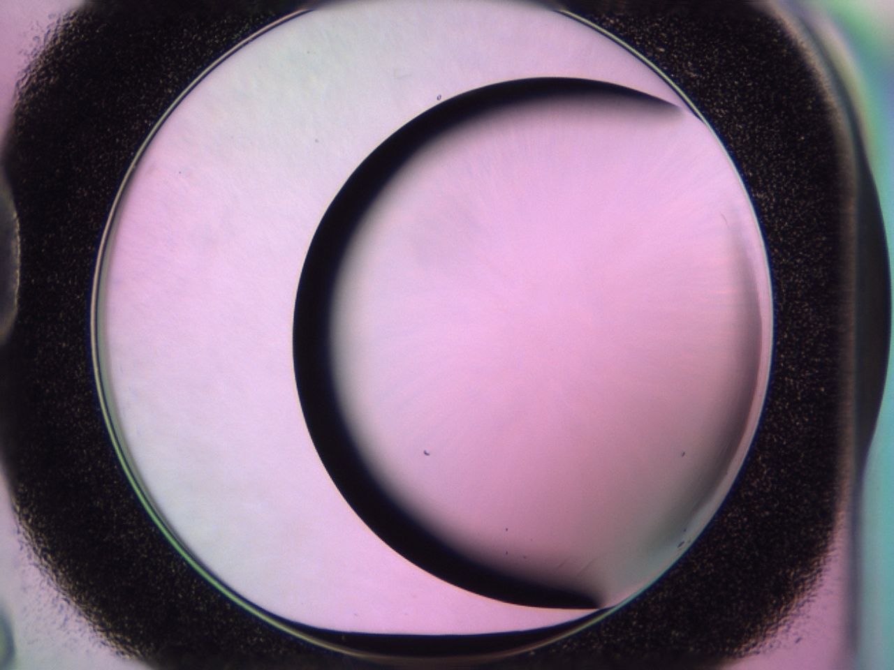 01de_D8_ImagerDefaults_0.jpg