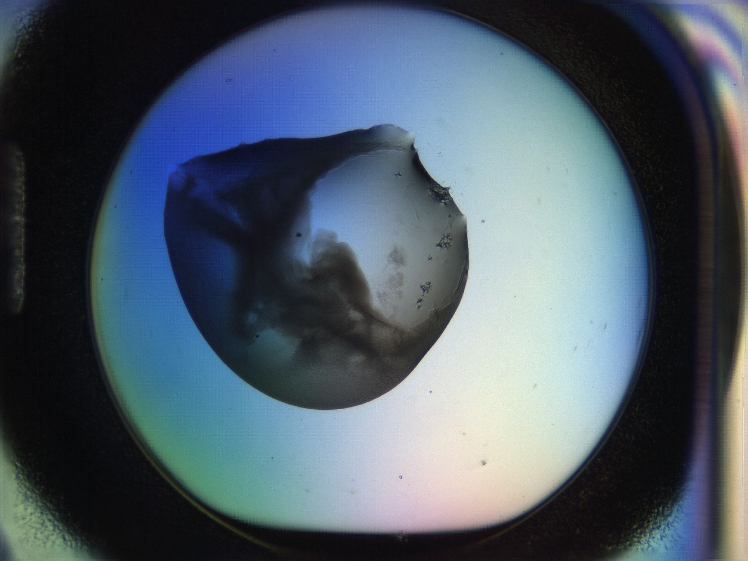 04y3_H9_HighResolution_1.jpg