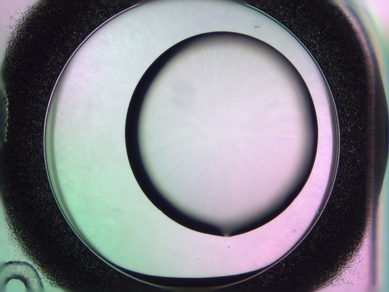 01de_D10_ImagerDefaults_1.jpg