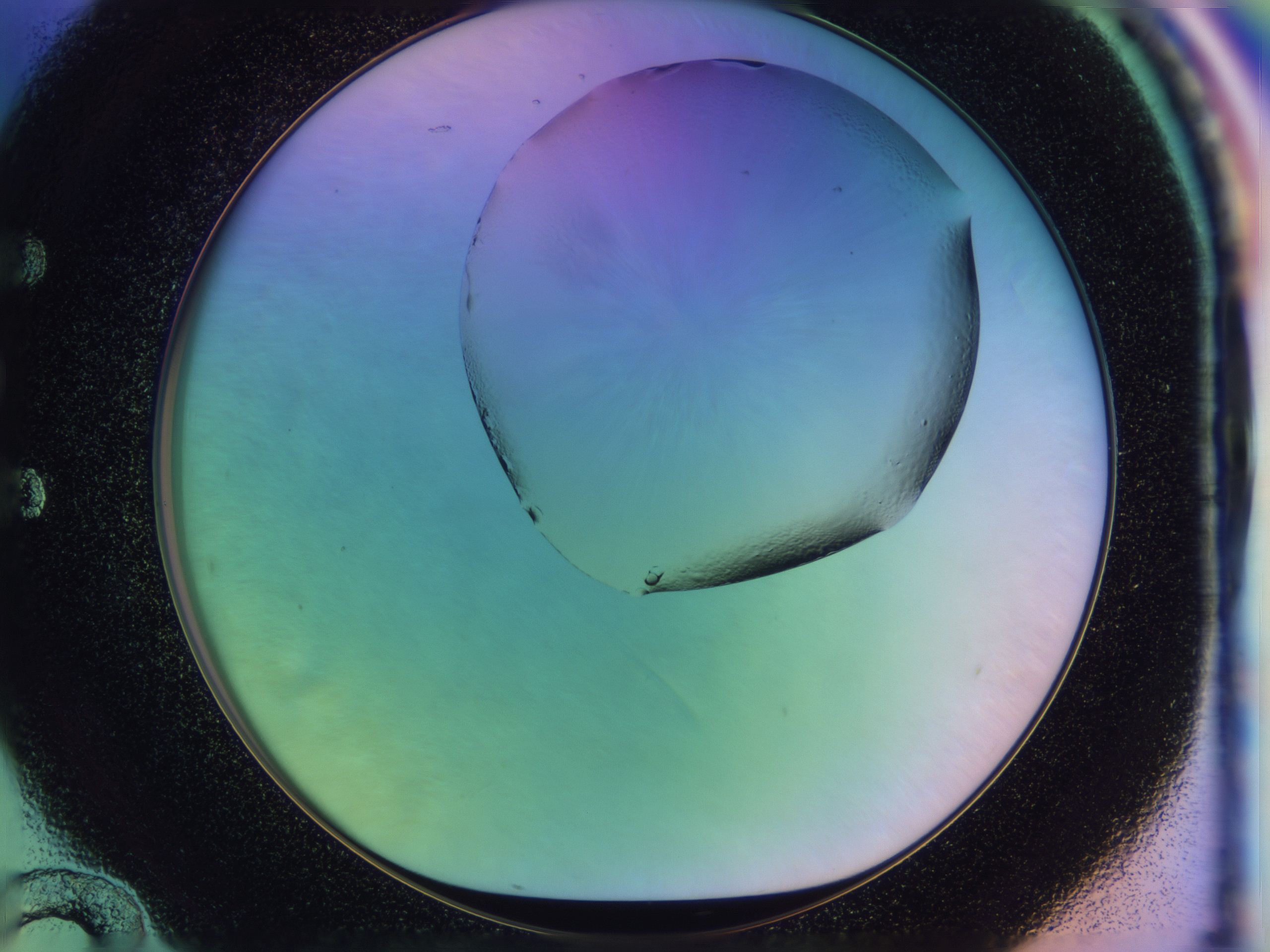 04yd_E12_HighResolution_0.jpg