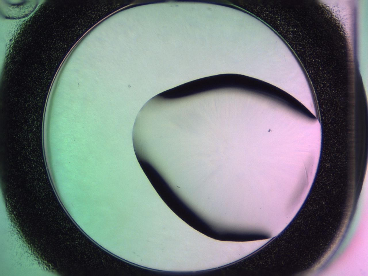 01de_D10_ImagerDefaults_0.jpg