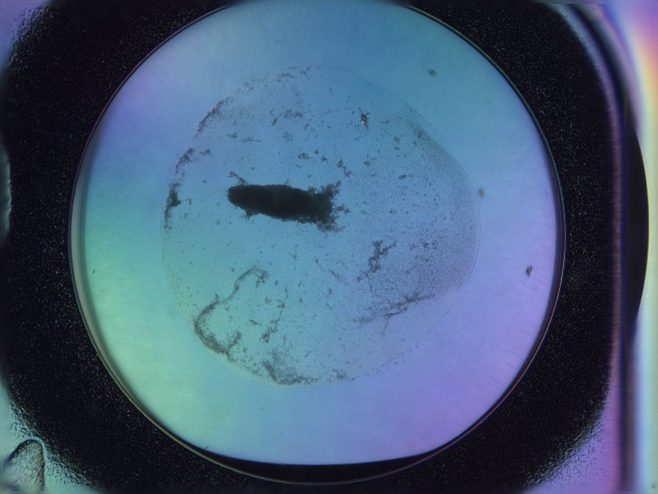 04ye_D11_ImagerDefaults_1.jpg