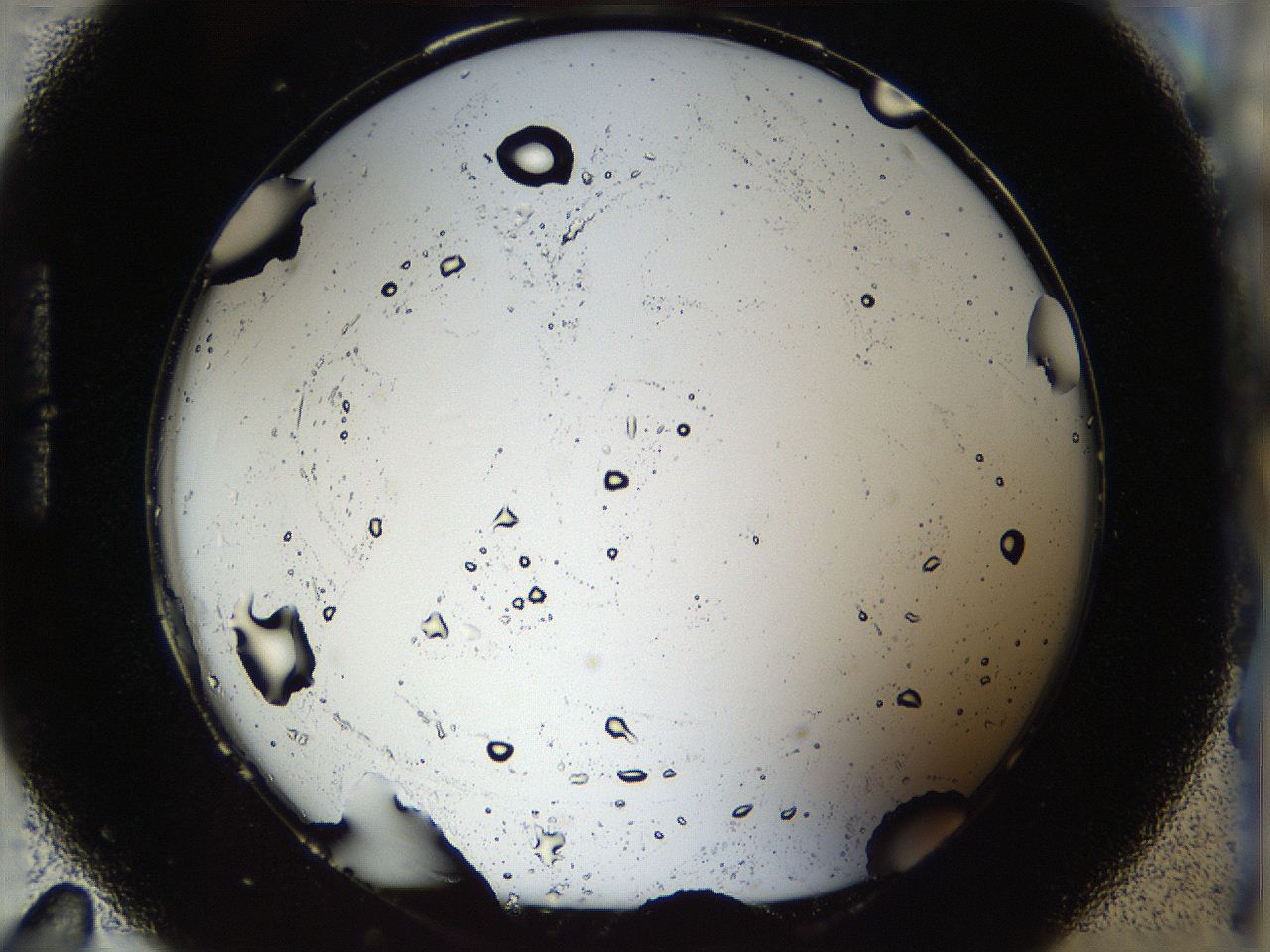 04yh_H11_HighContrast_4.jpg