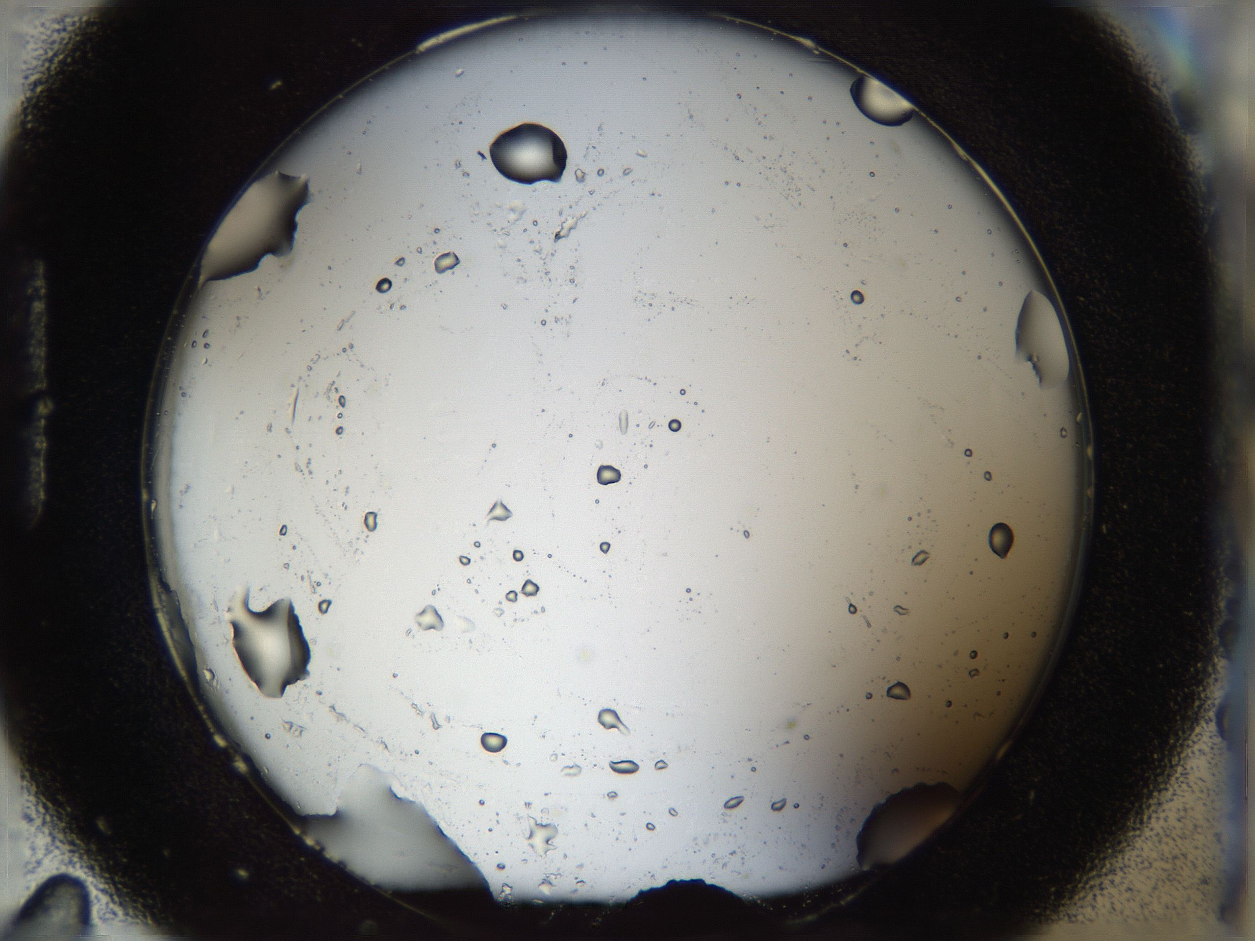 04yh_H11_HighResolution_4.jpg