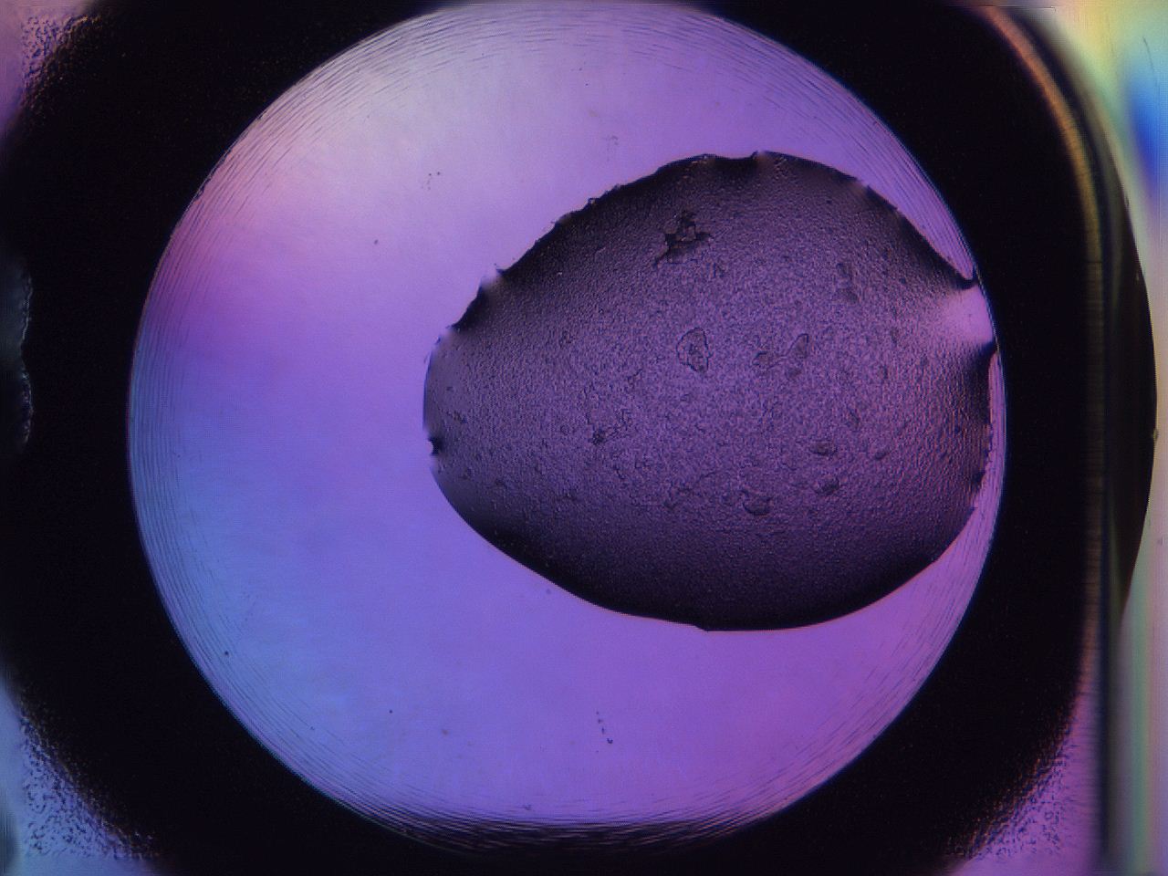 04yj_B8_HighContrast_1.jpg