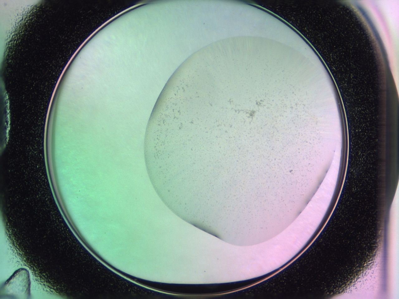 01de_D11_ImagerDefaults_1.jpg