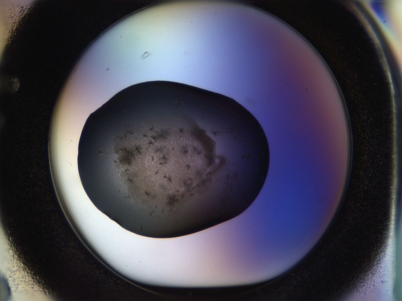 04yk_F3_ImagerDefaults_6.jpg
